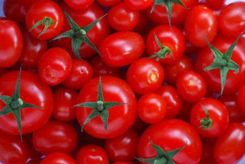 Nashik Fresh Tomato, Style : Ball Shape