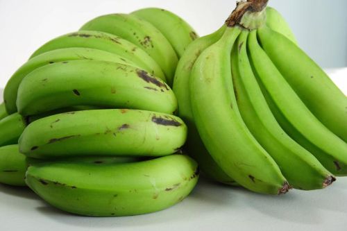 Organic Green Banana, Packaging Type : Plastic Crate