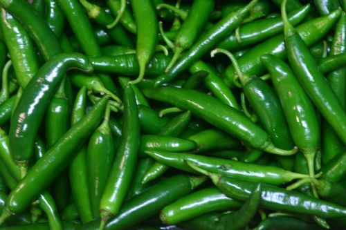 Organic Fresh Green Chili, For Cooking, Souce, Feature : Freshness, High Nutrition Value, Hygienically Packed