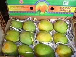 Kesar Mango