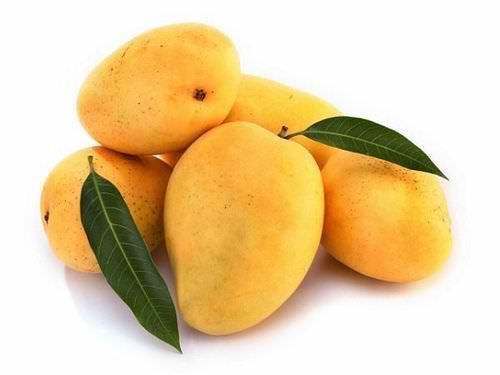 Organic Fresh Kesar Mango, Variety : Alphonso, Dried