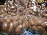 Bitter Kola Nuts, Cultivation Type : Natural