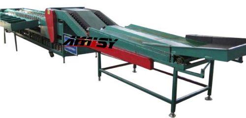 Automatic Fruit Sorting Machine, Brand Name : Amisy