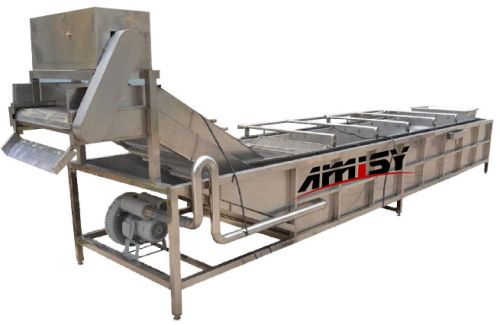 Vegetable Fruit Air Bubble Washing Machine, Brand Name : Amisy