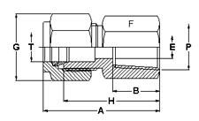 Union Fittings