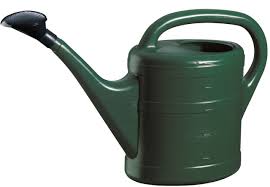 Plastic Watering Can