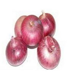 Fresh red onion, Certification : GlobalGAP, Packaging Size : 90grams