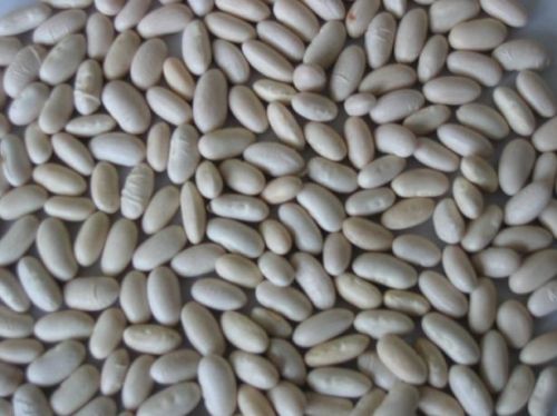 Baishake White Kidney Beans, Packaging Type : 50KG P.P.Bags