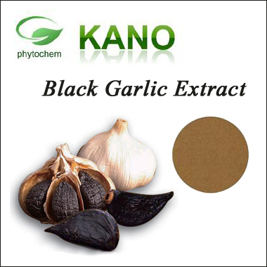 Black Garlic Extract 1%-3%Polyphenol, Brand Name : KANO Phytochem