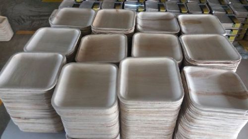 Areca Leaf Plates, Size : 7, 8, 10, 12