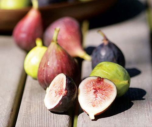 Fresh Fig