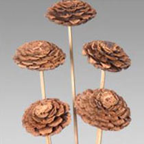 Decorative Dry Flowers