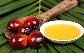 Palm oil for Cooking