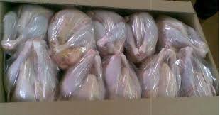 Whole Frozen Chicken, Certification : HACCP, halal