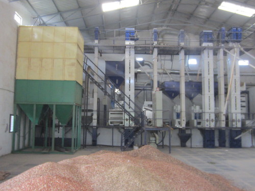 Paddy Storage Bins