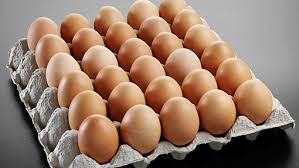 Fresh eggs, Application : Food Consumption