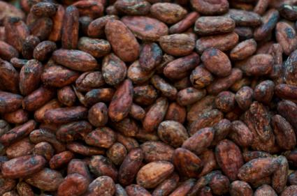 Organic Cocoa Beans