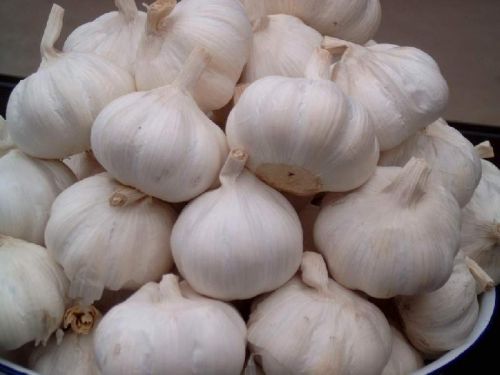 Fresh garlic, Number Of Flower : Vegetable