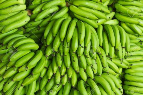 Fresh Green Banana