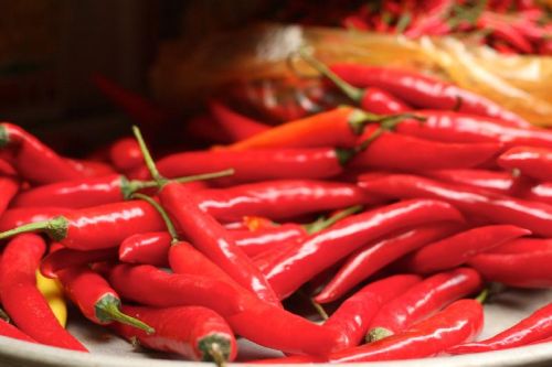 Fresh Red Chilli, Packaging Type : Pp Bag