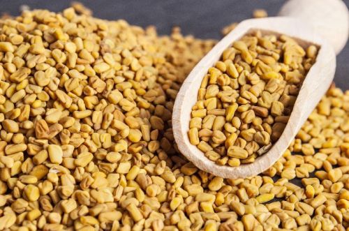 Organic Fenugreek Seeds