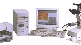 Image Analysis System