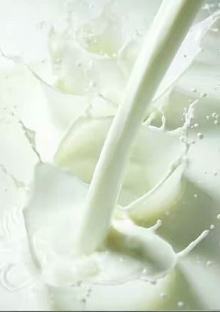 Buffalo Milk, For Bakery Products, Dessert, Human Consumption, Purity : 99.9%