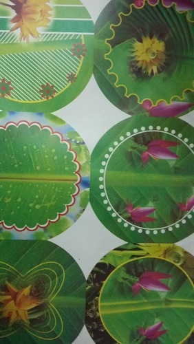 Paper plate raw material