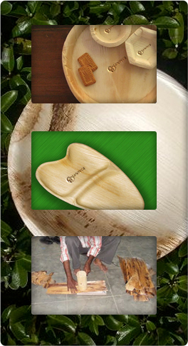 Eco Friendly Disposable Plates