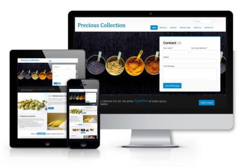 Website Design and Development