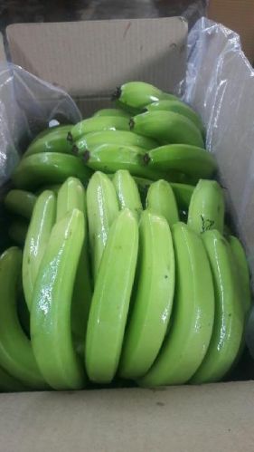 VDM Fresh Banana