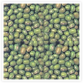 Green moong, Drying Process : Sun Dried