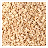 Sesame Seeds