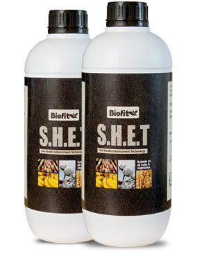 Biofit S.H.E.T. Plant Growth Promoter, Purity : 99.80%