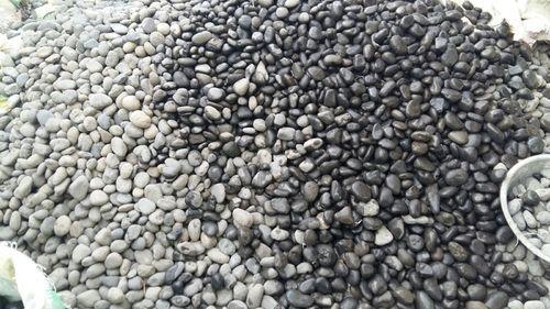 Polished River Pebbles