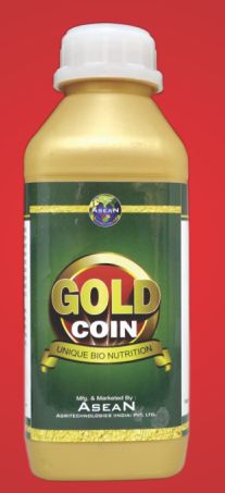 Gold Coin