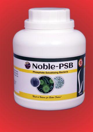 NOBLE PSB