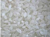 IR 8 White Non Basmati Rice