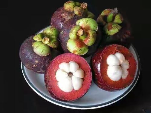 Mangosteen