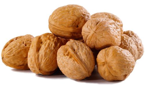 Shelled Walnuts, Packaging Type : Bag