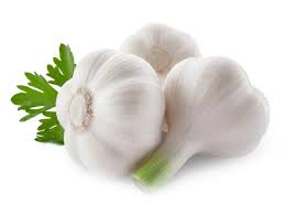 Fresh Garlic, Color : White