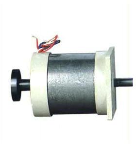 AC Synchronous Motor