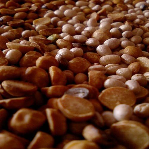 Organic Roasted Split Bengal Gram