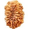 18 Mukhi Rudraksha