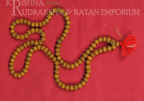 7 Mukhi Rudraksha Mala