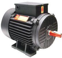 Three phase electric motor