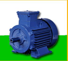 High Efficiency TEFC STANDARD SQUIRREL CAGE MOTORS