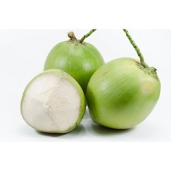 Tender coconut, Packaging Type : 20 / 30 Nuts Per Sack