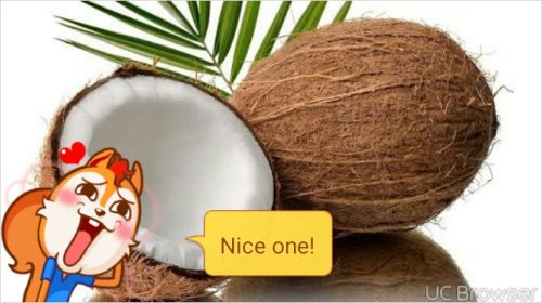 Coconut