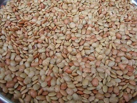 Horse Gram Seeds